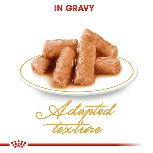 Royal Canin British Shorthair | Doppelpack | 2 x 12 x 85 g | Nassfutter für ausgewachsene Britisch Kurzhaar Katzen