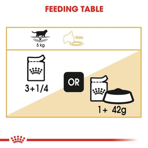 Royal Canin British Shorthair | Doppelpack | 2 x 12 x 85 g | Nassfutter für ausgewachsene Britisch Kurzhaar Katzen