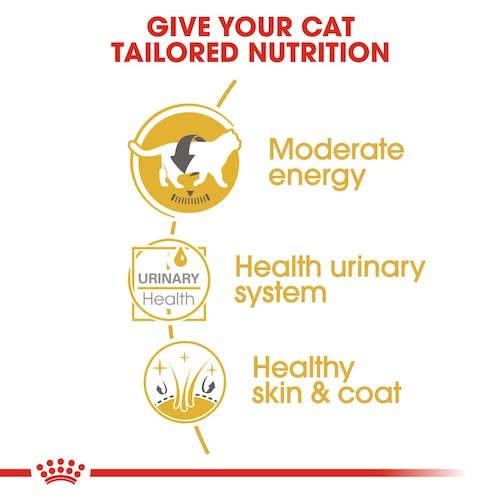 Royal Canin British Shorthair | Doppelpack | 2 x 12 x 85 g | Nassfutter für ausgewachsene Britisch Kurzhaar Katzen