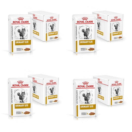 Royal Canin Urinary S/O Häppchen in Soße | 4er Pack | 4 x 12 x 85 g