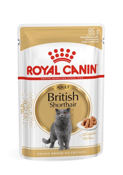 Royal Canin British Shorthair | Doppelpack | 2 x 12 x 85 g | Nassfutter für ausgewachsene Britisch Kurzhaar Katzen