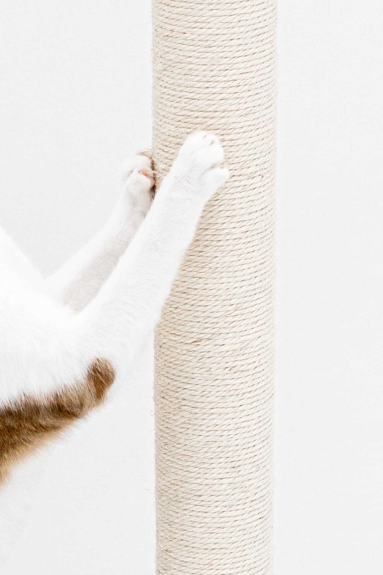Petrebels Kratzbaum Maine 90 cm Hoch, mit Extra Stabiler Bodenplatte und Natur-Sisal Stamm, 40 x 40 x 90 cm, Farbe Creme/Beige