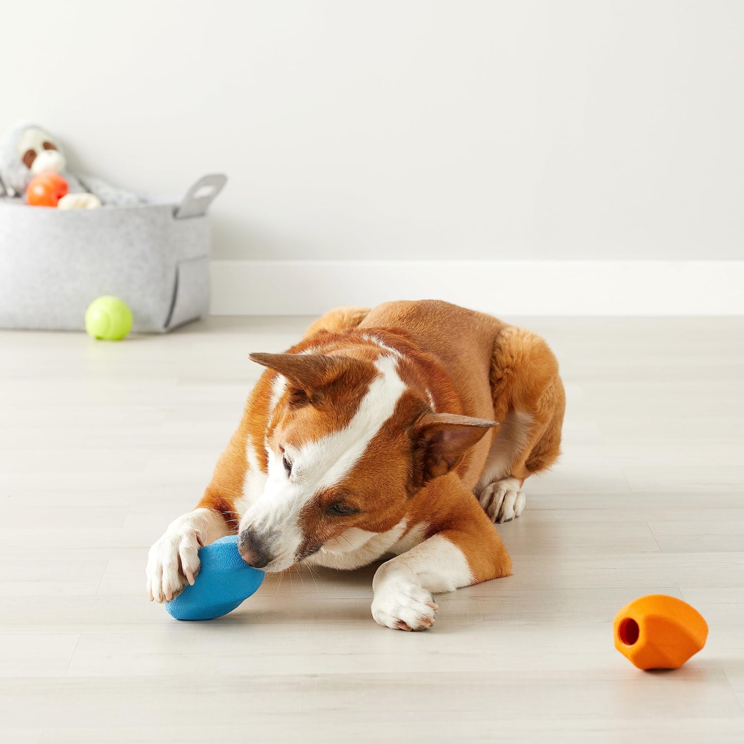 Basics Kauspielzeug für Hunde mit Leckerli-Spender, 2 stück, Größe M, Mehrfarbig