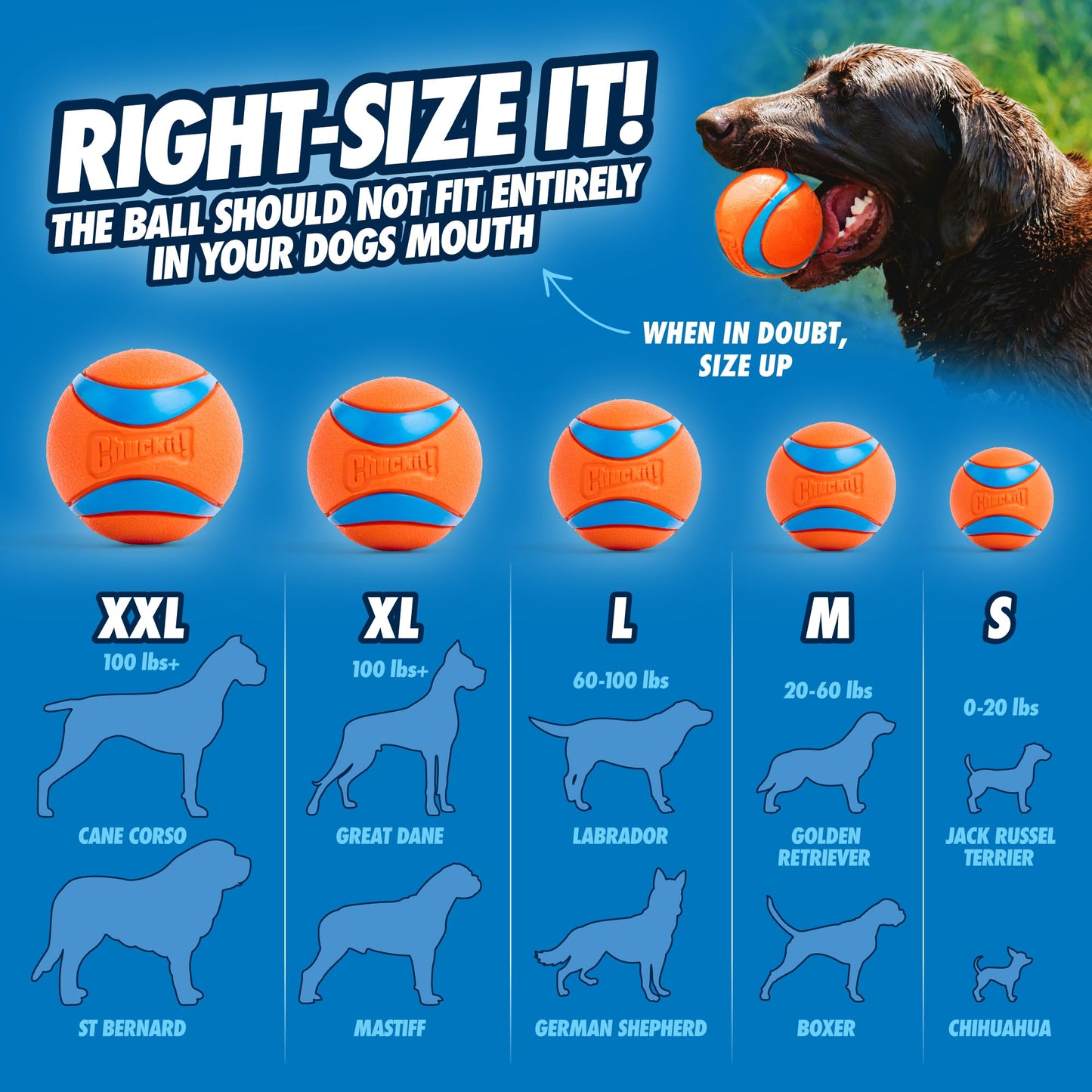 Chuckit – 12M Sportwerfer – Ballwerfer für Hunde – Ergonomischer Gummigriff