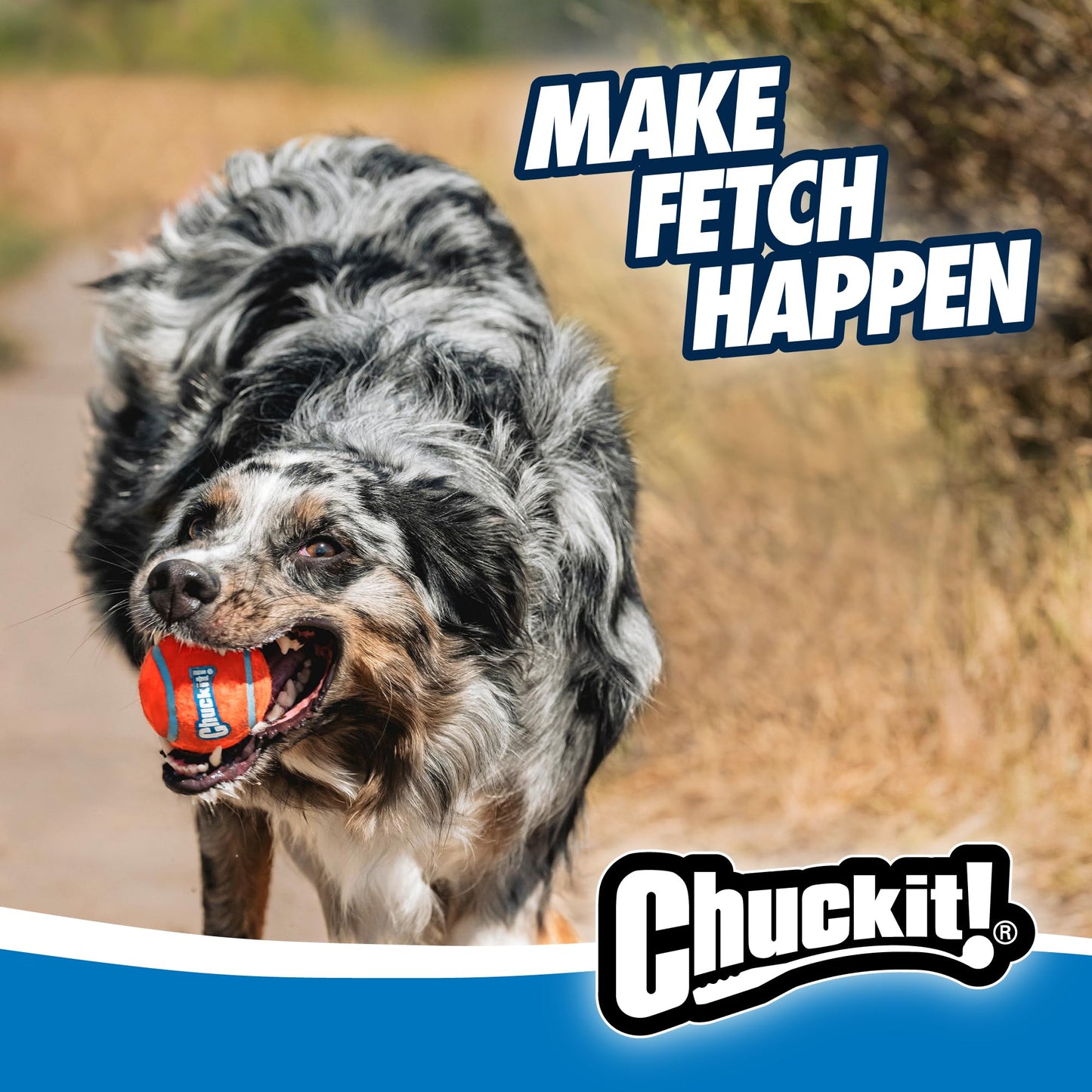 Chuckit – 12M Sportwerfer – Ballwerfer für Hunde – Ergonomischer Gummigriff