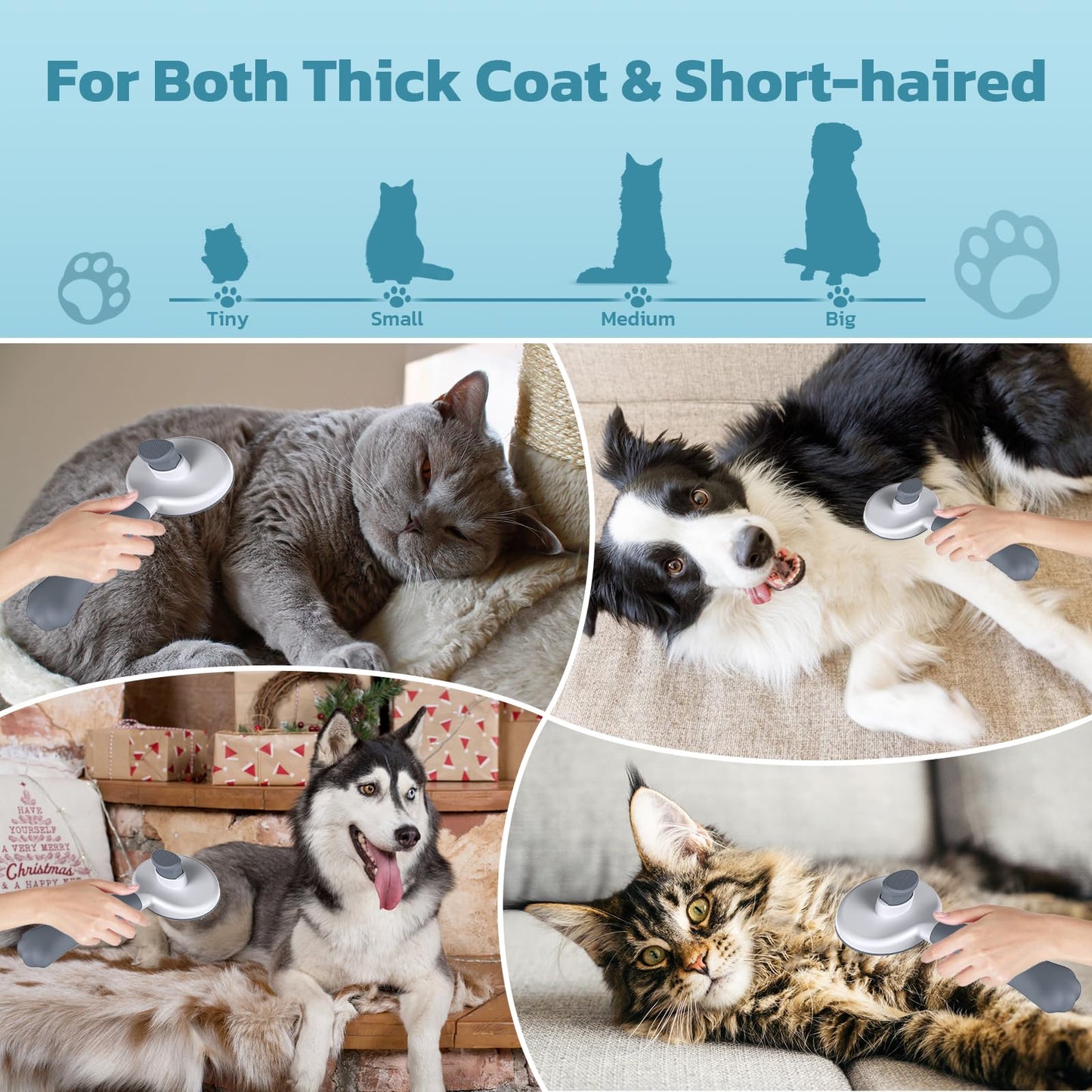 Zivacate Katzenbürste Hundebürste