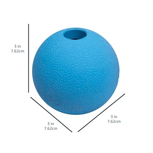 Basics Apportierbälle aus Gummi zum Spielen für Hunde, 2 Stück, 7.62 cm, Blau, Orange