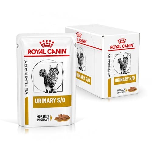 Royal Canin Urinary S/O Häppchen in Soße | 4er Pack | 4 x 12 x 85 g