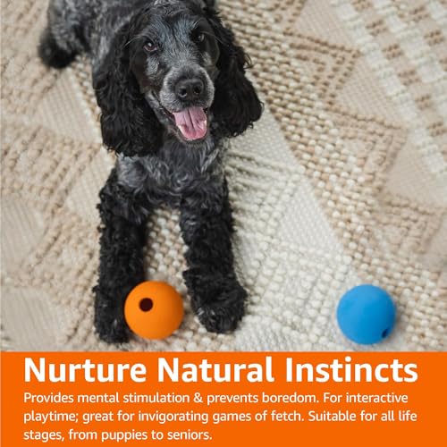 Basics Apportierbälle aus Gummi zum Spielen für Hunde, 2 Stück, 7.62 cm, Blau, Orange
