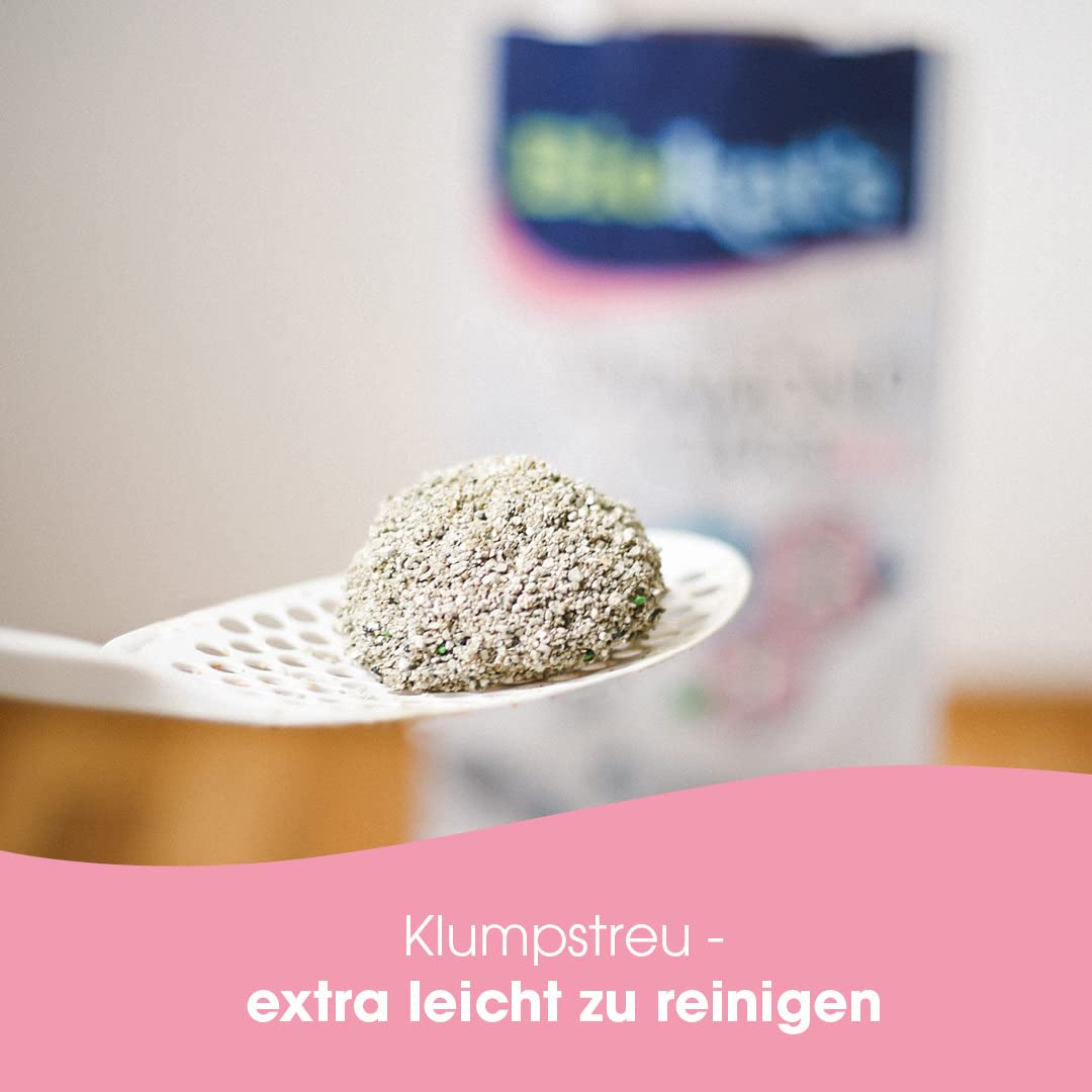 Biokat's Diamond Care Fresh Katzenstreu mit Babypuder-Duft - Feine Klumpstreu aus Bentonit mit Aktivkohle und Aloe Vera - 1 Sack (1 x 10 L)