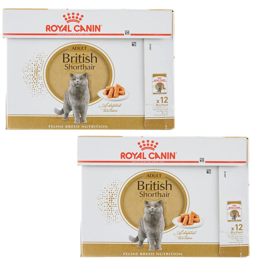 Royal Canin British Shorthair | Doppelpack | 2 x 12 x 85 g | Nassfutter für ausgewachsene Britisch Kurzhaar Katzen